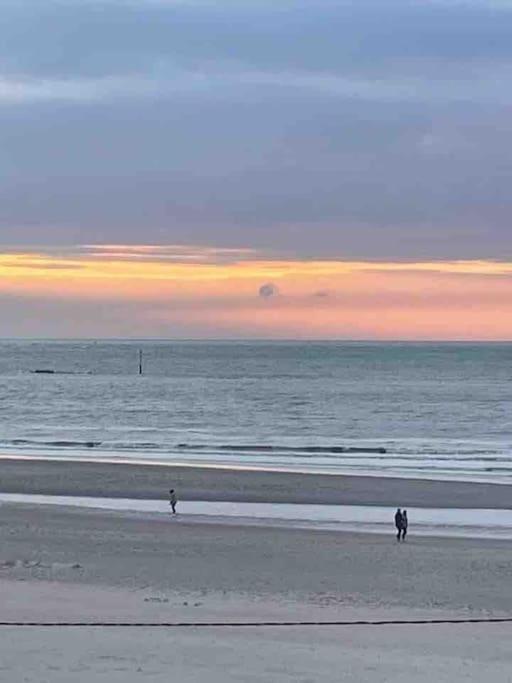Au 154 Bis - Joli Appartement Avec Grande Terrasse Et Proche De La Plage A Malo Dunkirk Exterior foto